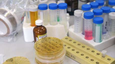 Publican las instrucciones de uso de la vacuna rusa Sputnik V: posibles efectos secundarios y contraindicaciones