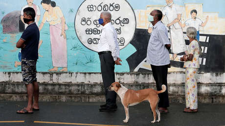 La OMS alerta del aumento de virus capaces de pasar de animales a humanos: "habrá otra enfermedad X"