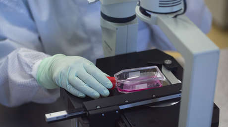 El Ministerio de Salud de Rusia da el visto bueno para los ensayos clínicos de una tercera vacuna rusa contra el coronavirus