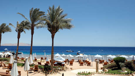 Un tiburón oceánico arranca un brazo a un niño de 12 años y una pierna a su guía turístico en las costas del Egipto