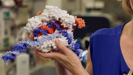 Herramienta de edición genómica suscita dudas: un estudio muestra resultados no deseados en el uso de CRISPR-Cas9