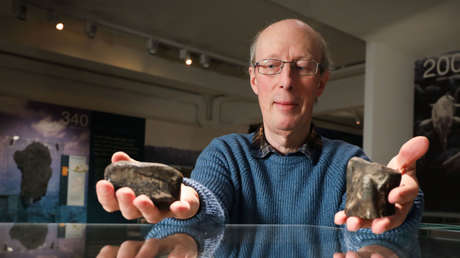 Confirman el descubrimiento de los dos primeros fósiles de dinosaurio en Irlanda