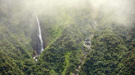 FOTOS: Descubren en selvas de Bolivia 20 nuevas especies previamente desconocidas
