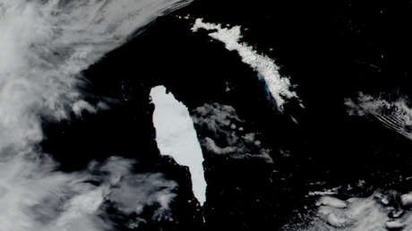 El iceberg más grande del mundo estaría a punto de chocar contra un santuario de pingüinos y focas