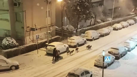 VIDEO: Un hombre se pasea por Madrid en un trineo tirado por perros en medio de una histórica nevada