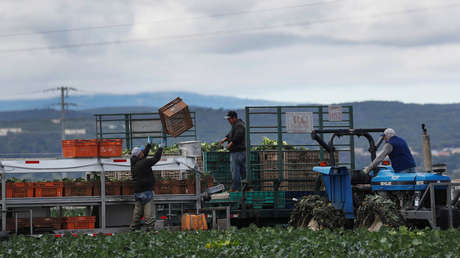 Entre el covid-19 y el miedo a la deportación: los problemas de los migrantes irregulares en EE.UU. para acceder a la vacuna