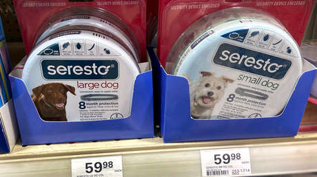 Vinculan un popular collar antipulgas con la muerte de cerca de 1.700 perros y gatos en EE.UU.