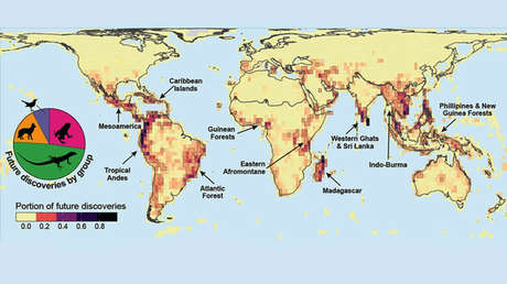 Crean un mapa de los animales vertebrados aún por descubrir en la Tierra, y 2 países de Latinoamérica están entre los mejores lugares para buscarlos