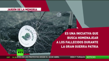 Lanzan la iniciativa Jardín de la Memoria para conmemorar a los 27 millones de personas que perdieron la vida en la Gran Guerra Patria