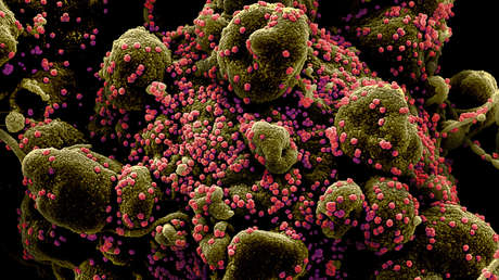 "¿Qué esconden en Fort Detrick?": Pekín se pregunta sobre raras dolencias respiratorias vinculadas a un laboratorio militar de EE.UU.