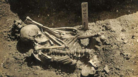 Reconstruyen la muerte violenta de un pescador japonés que fue atacado por un tiburón hace 3.000 años