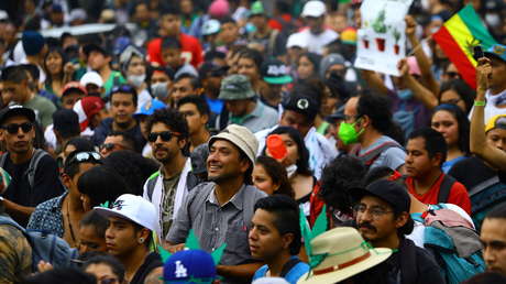 La telenovela sin fin de la marihuana en México: a pesar del fallo de la Corte, la regulación del consumo personal y del mercado permanece en el limbo