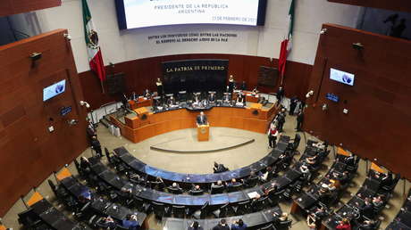 México se convierte en el primer país de América del Norte que prohíbe las pruebas de cosméticos en animales