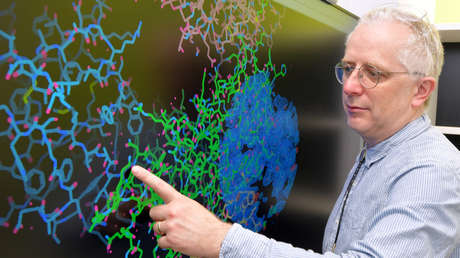 Científicos aíslan nanoanticuerpos de llamas que combaten el covid-19 y podrían administrarse en forma de aerosol nasal