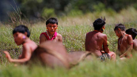 Un juez da cinco días al Gobierno de Bolsonaro para que se pronuncie sobre la desnutrición que sufren los niños yanomamis