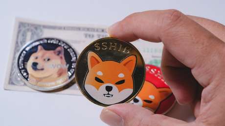 Experto destaca 3 razones por las que las criptomonedas meme como dogecóin y shiba inu son cada vez más populares
