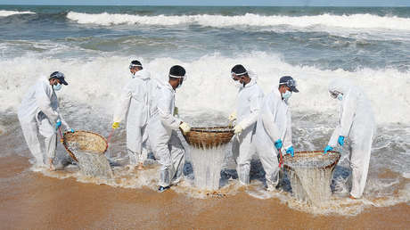 Tras el "peor desastre marítimo" de la historia de Sri Lanka, 1.680 toneladas de gránulos de plástico ponen en jaque a miles de familias del país