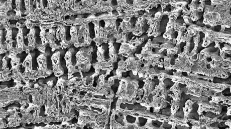 Convierten al cobre en un "asesino rápido de bacterias" que mata al 99,99 % de estafilococos en dos minutos