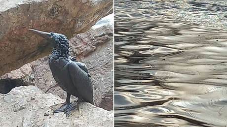 Las desoladoras imágenes del derrame de crudo en Perú por el que piden una millonaria multa para una subsidiaria de la española Repsol