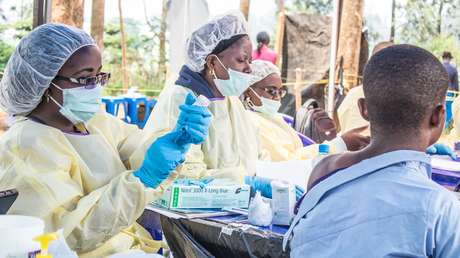 Descubren que el virus del ébola puede sobrevivir al tratamiento y ocultarse en el cerebro durante años antes de reinfectar a su huésped