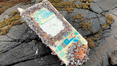 FOTOS: Encuentran en Noruega un velero no tripulado lanzado por escolares de EE.UU. después de 462 días en el océano