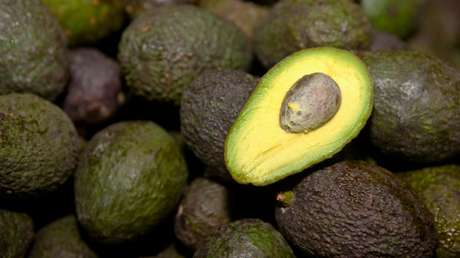 EE.UU. anuncia que reanudará la importación de aguacates desde México