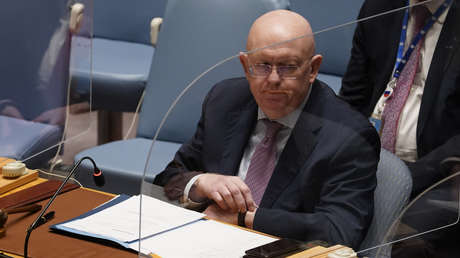 Rusia ante la ONU: las tropas rusas prestarán ayuda humanitaria a los ucranianos en los territorios liberados de los radicales