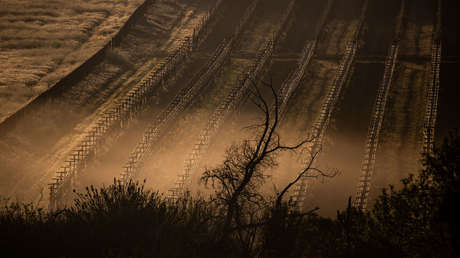 Alemania advierte de que el mundo se enfrenta a "la peor hambruna desde la Segunda Guerra Mundial, con millones de muertos"
