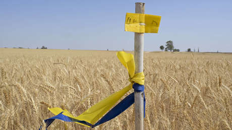 Turquía comprará el trigo ucraniano con descuento