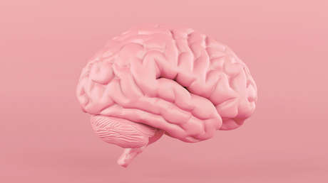 Descubren que el cerebro humano sano alcanza temperaturas más altas de lo que se sospechaba