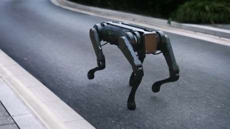 Un robot cuadrúpedo chino camina por el fondo de una piscina y resiste el peso de un hombre de 100 kilos (VIDEO)