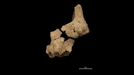 Hallan en España el rostro humano más antiguo de Europa (y puede revelar el origen de la cara moderna)