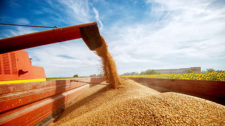 Rusia va a aumentar el suministro de cereales a los países más pobres