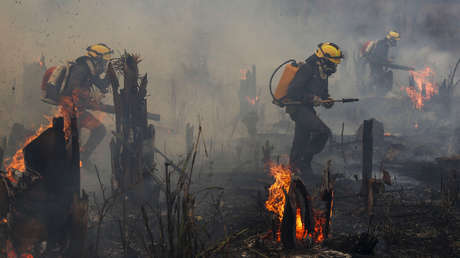 Los incendios en la Amazonía brasileña rompen la cifra récord en una década