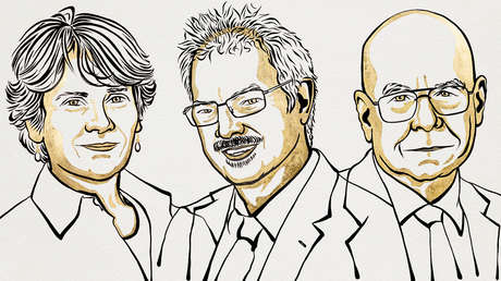 Otorgan el Premio Nobel de Química por un nuevo método de síntesis ultrarrápida de moléculas