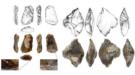 Encuentran los rastros de una especie humana extinta en el sur de Polonia