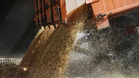 Embajador ruso en EE.UU.: La suspensión del acuerdo de granos se debe a "las acciones imprudentes" de Kiev