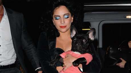 Condenan a 21 años de prisión al delincuente que disparó al paseador de perros de Lady Gaga