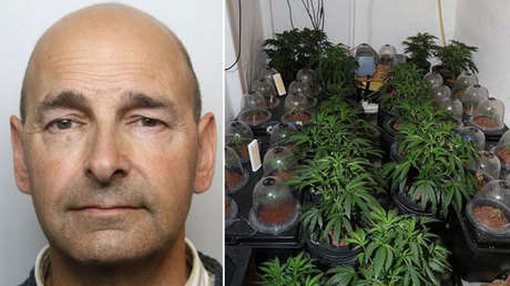 Un hombre con cáncer construye un imperio de cannabis inspirado en 'Breaking Bad'