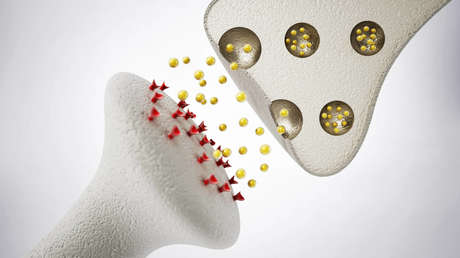 Desarrollan un nuevo ensayo para diagnosticar enfermedades neurológicas