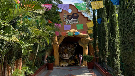 Descubren venta ilegal, falsos intercambios y hasta sacrificios en un zoológico mexicano