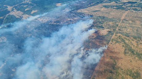 Gobierno de Chile confirma cuatro muertos por incendios forestales en el centro del país