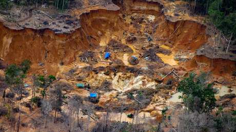 La desesperada huida de los mineros de tierras yanomamis ante la operación del Gobierno de Lula
