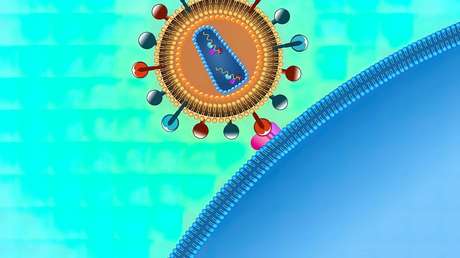 Curan completamente el VIH en un hombre al trasplantarle células madre