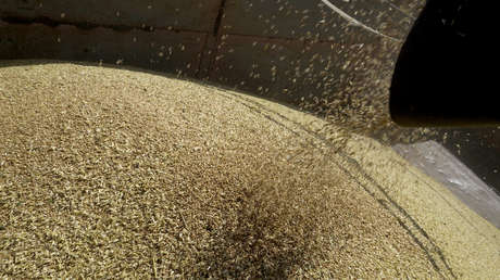 Zajárova: La decisión de Rusia de extender 60 días el acuerdo de granos es "un jarro de agua fría" para EE.UU. y la UE