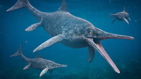 Los restos de un ictiosaurio 'demasiado' antiguo sitúan su origen antes de los dinosaurios (FOTOS)