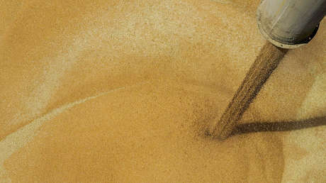 El grano ucraniano podría socavar la buena voluntad de la UE hacia Kiev