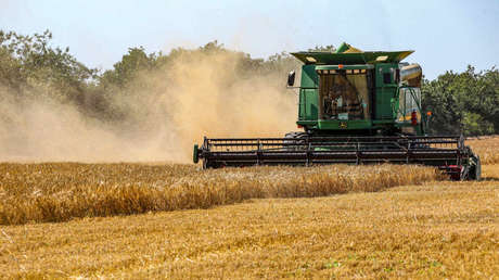 Lavrov dice que el acuerdo de transporte de granos beneficia los intereses comerciales en detrimento del tercer mundo