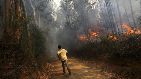 "Abrumadoras crisis ambientales": el negativo balance del relator de Naciones Unidas en Chile