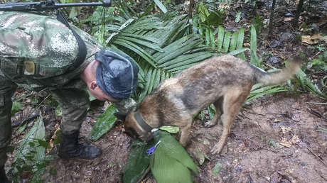 Continúa la búsqueda de cuatro niños desaparecidos tras accidente aéreo en selvas de Colombia